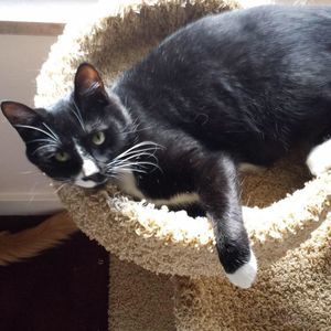 Meet your Posher, Stacey